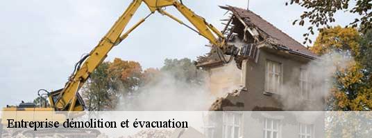 Entreprise démolition et évacuation  saint-martin-de-castillon-84750 Tony Location de benne