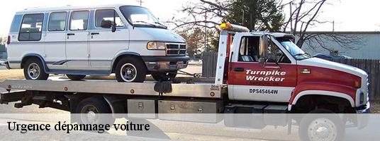 Urgence dépannage voiture  beaumont-du-ventoux-84340 Tony Location de benne