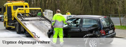 Urgence dépannage voiture  beaumont-du-ventoux-84340 Tony Location de benne